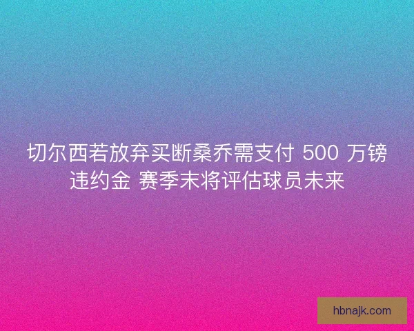切尔西若放弃买断桑乔需支付 500 万镑违约金 赛季末将评估球员未来